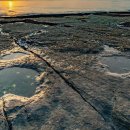 공룡 발자국화석지 이미지