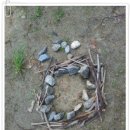 상명어린이집 이미지