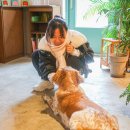 귀여운 대형견들이 있는 제주공항근처 카페&#39;리듬&#39; :: (구)효리네민박 쌀다방