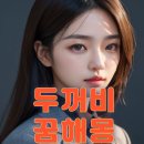 두꺼비로또