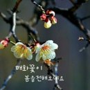 금강산악회 3월 시산제 이미지