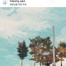 푸르댕댕 이미지