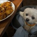 발칸다이닝펍