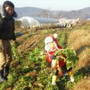 은찬농장 이미지