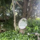 ID농장 | 치앙마이 한달살기 아이랑 가기 좋은 농장체험 미슐랭 맛집 진저팜