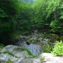 김삿갓면-5 이미지