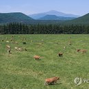 제동농장 이미지