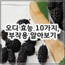 (6월) 당뇨병 건강교실 『운동』 | 오디 효능 10가지, 부작용 알아보기