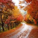 지리산치과의원 이미지