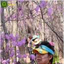 목통산장 이미지