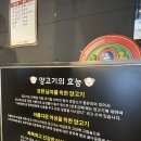 마포, 상암 지삼선이 맛있는 &lt;금강산 양꼬치&gt; 내돈내산 후기