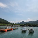 광안비치부동산공인중개사사무소 이미지