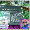 상나대 Daum카페