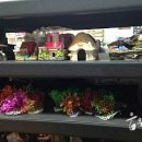 오천수족관 이미지