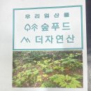 산림청 산하 한국 임업진흥원 숲푸드 더 자연산 인증기념 및 추석 명절 선물 안내(마감) 이미지