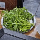 송탄개미네집 이미지