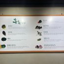 홍송우렁쌈밥
