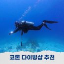 산호환경 | 팔라완 코론 스쿠버다이빙 산호 다이브 다이빙샵 리조트 추천
