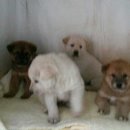 여주-0182 Daum카페