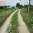 천안시성남면봉양보건진료소 이미지