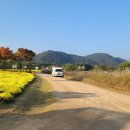 2021 태화강 빛 축제 이미지