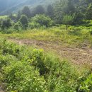 하우농장 이미지