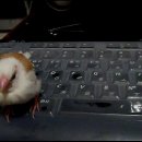 이든이예요~ㅎㅎㅎ(사진추가) 이미지