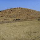 광무목장 이미지