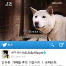 이리오시개 이미지