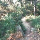 산책길-1 이미지