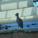 초양도주차장 이미지