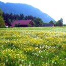 전원풍경 이미지