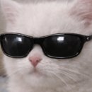 서창방산로 이미지