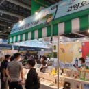 트래블브랜드
