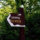 괴정꽃돌마을 이미지