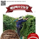 예당농장약초원 Daum카페