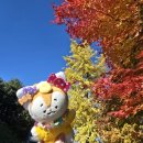 [관악산 연주대] 가을산 다녀왔어