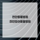 천안모아동물병원 | 천안동물병원 천안모아동물병원