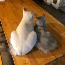 제주보리게스트하우스