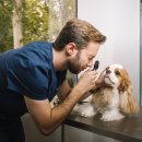 양천종합동물병원 이미지