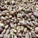 금곡킹스키즈유치원 이미지