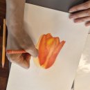 색연필 | 경기광주 경안동 보태니컬아트 수업 후기｜튤립·카라·카네이션 색연필 꽃그림 클래스