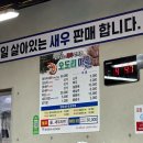 신명오도리마을 이미지