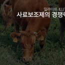 (주)용궁일라이트 이미지