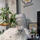 신양스틸 이미지