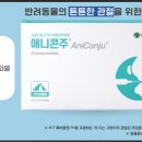 소담동물병원 이미지