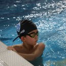 프리라움 수영장 이미지