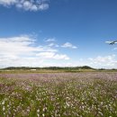 인천국제공항 하늘정원 내 이미지