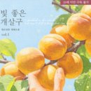 빛 좋은 개살구 이미지