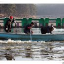 신촌낚시터 이미지